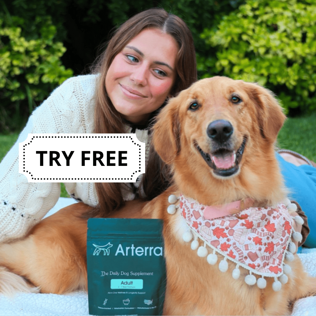 Try Arterra All-in-One Dog Supplement for FREE!