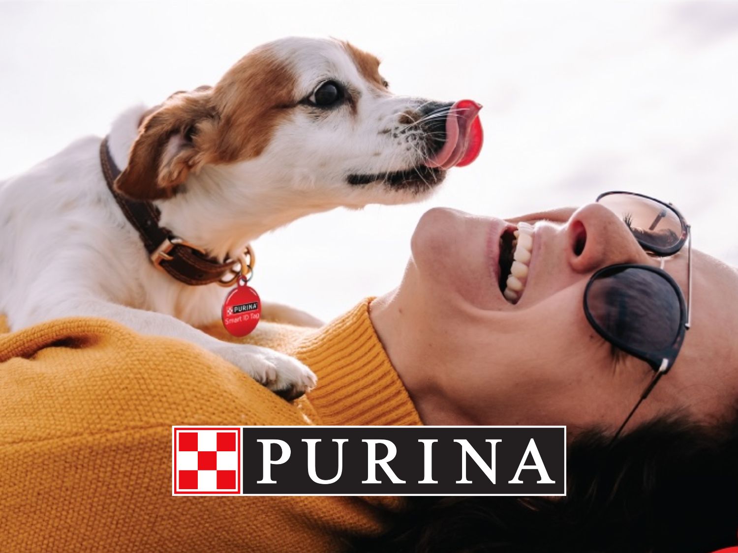 Free SuperPet Smart ID Tag from Purina