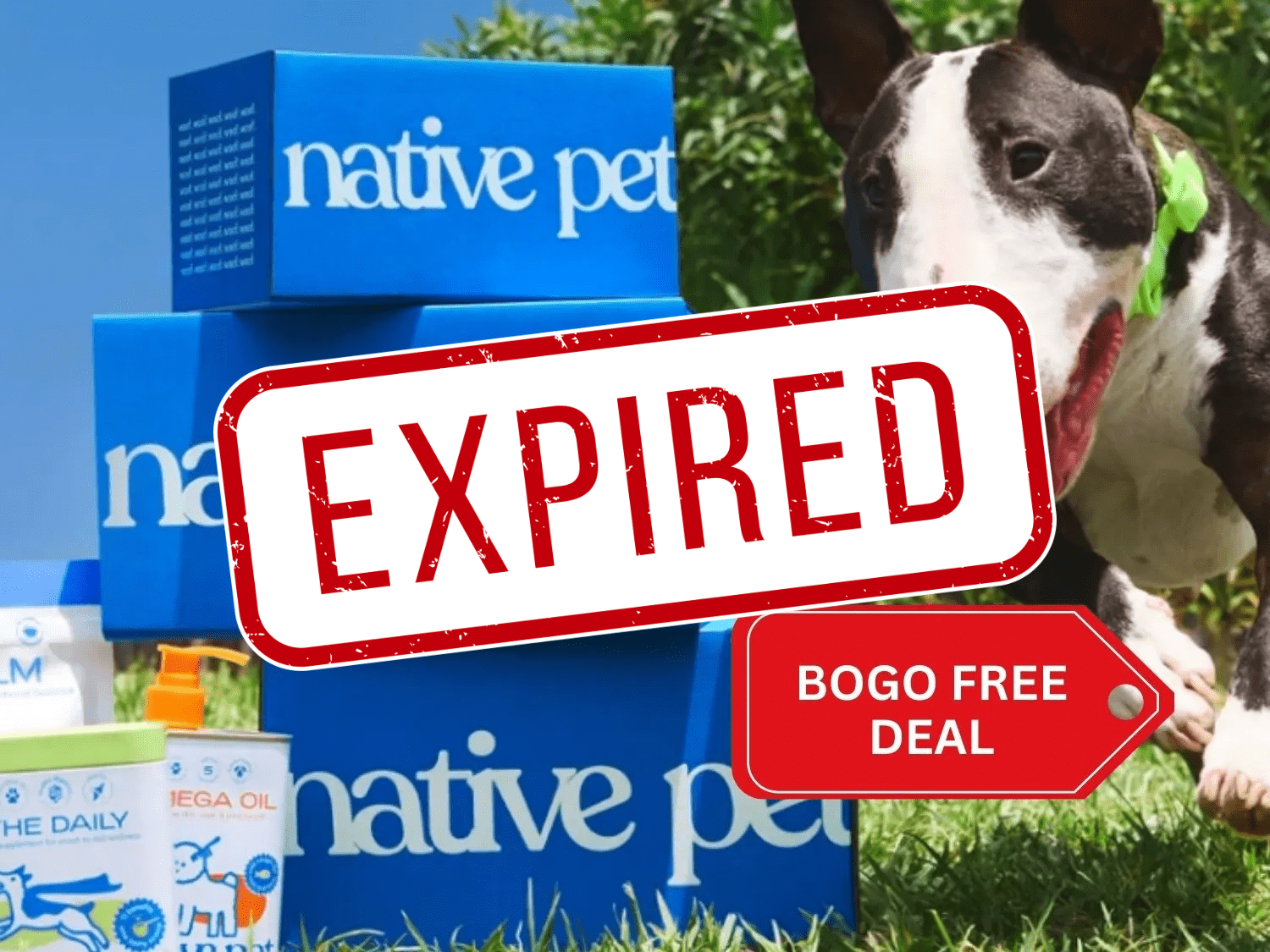 Buy One Get One FREE on Native Pet Products