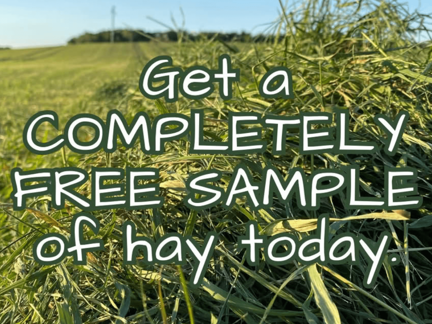 Snag a FREE Farmer Dave Pet Supply Hay Sample!