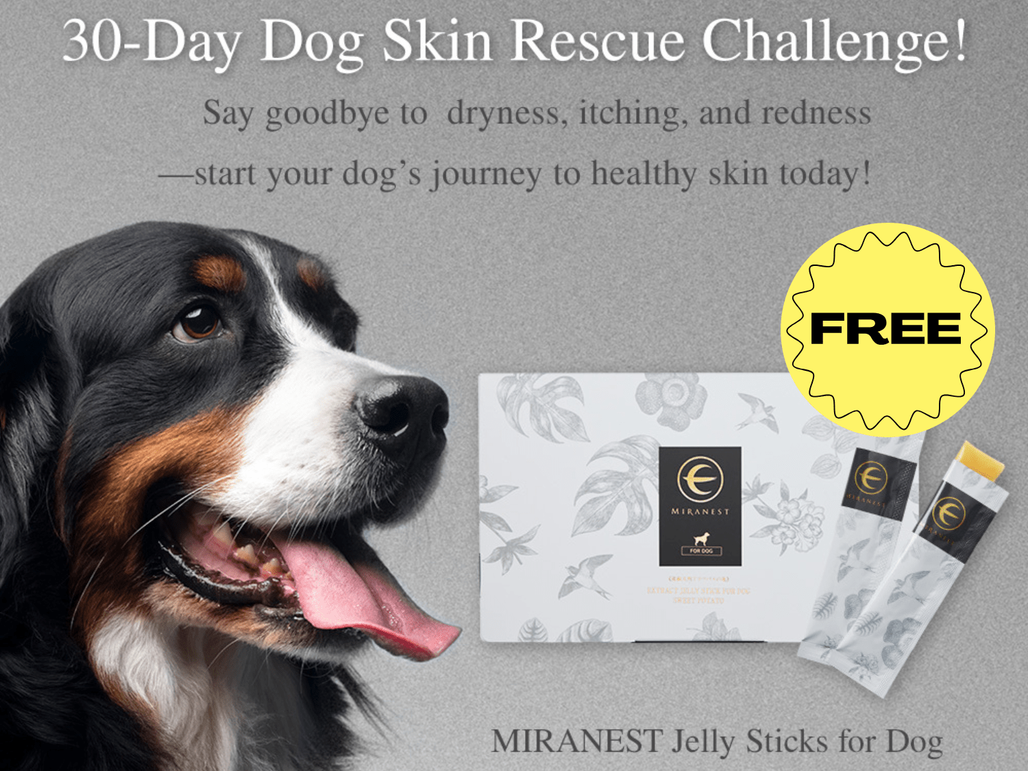 Treat Your Pup to a FREE 30-Day Supply of MIRANEST Jelly Sticks – A $120 Value for Zero Dollars!