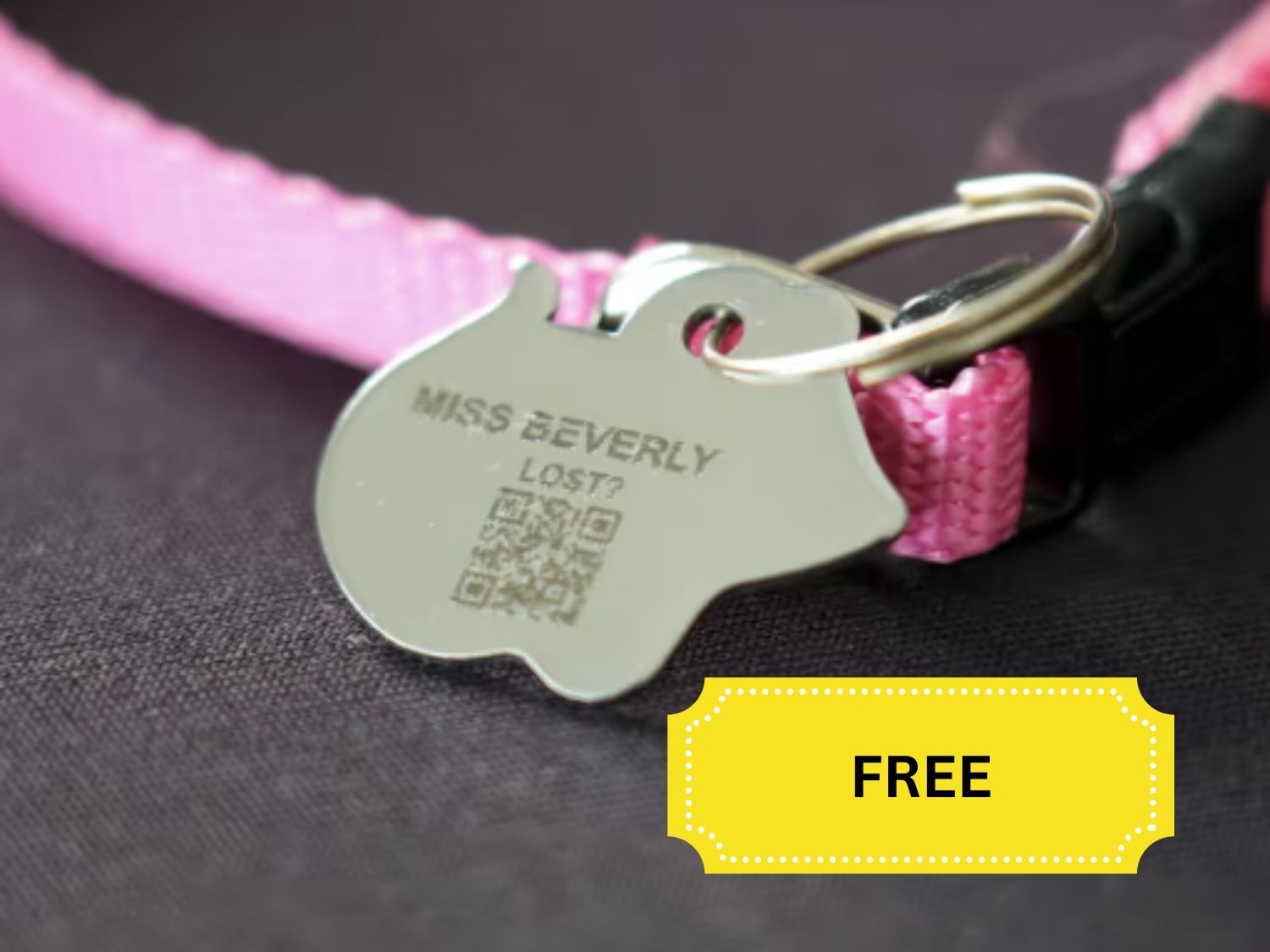 FREE Custom Tabby Alert Pet ID Tags