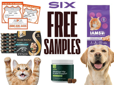 6 Pet Freebies You Can Claim Right Now (Your Dog Will Thank You)