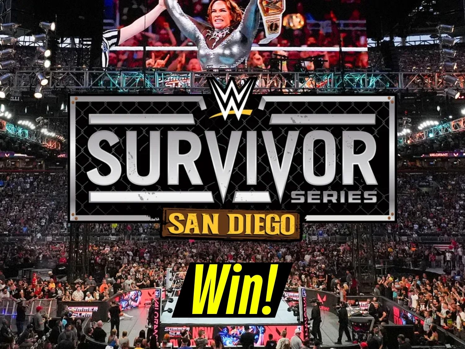 Minute Maid Survivor Series WWE Giveaway