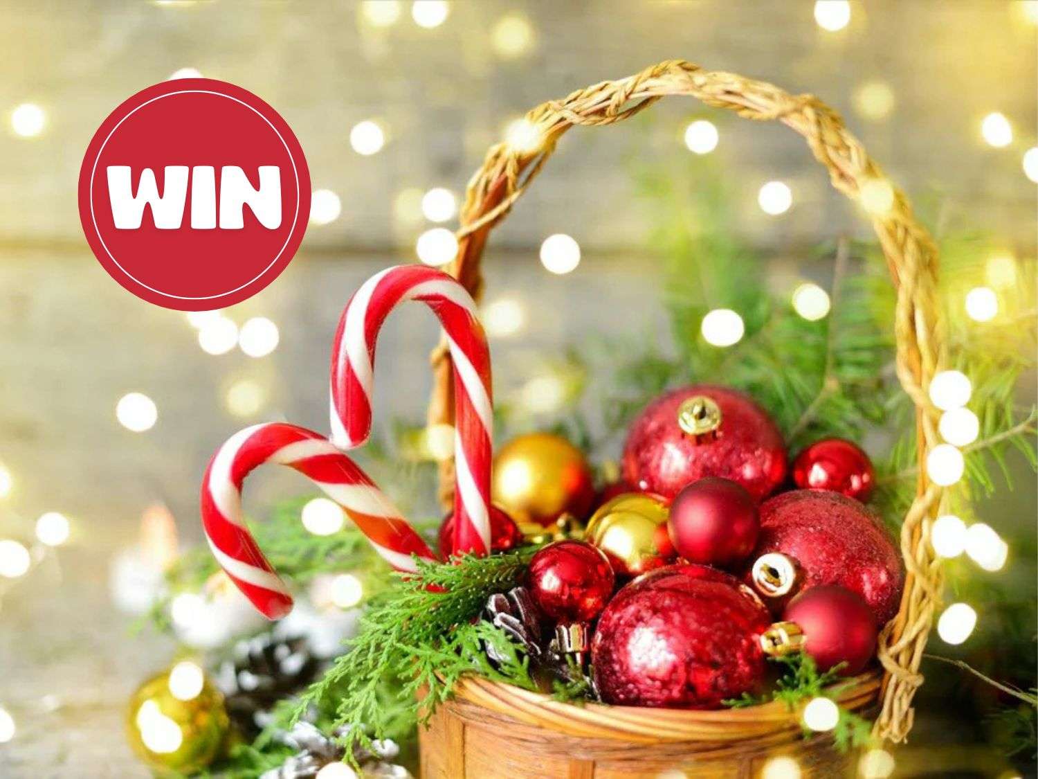 Win a Holiday Gift Basket from Bravo Farms!