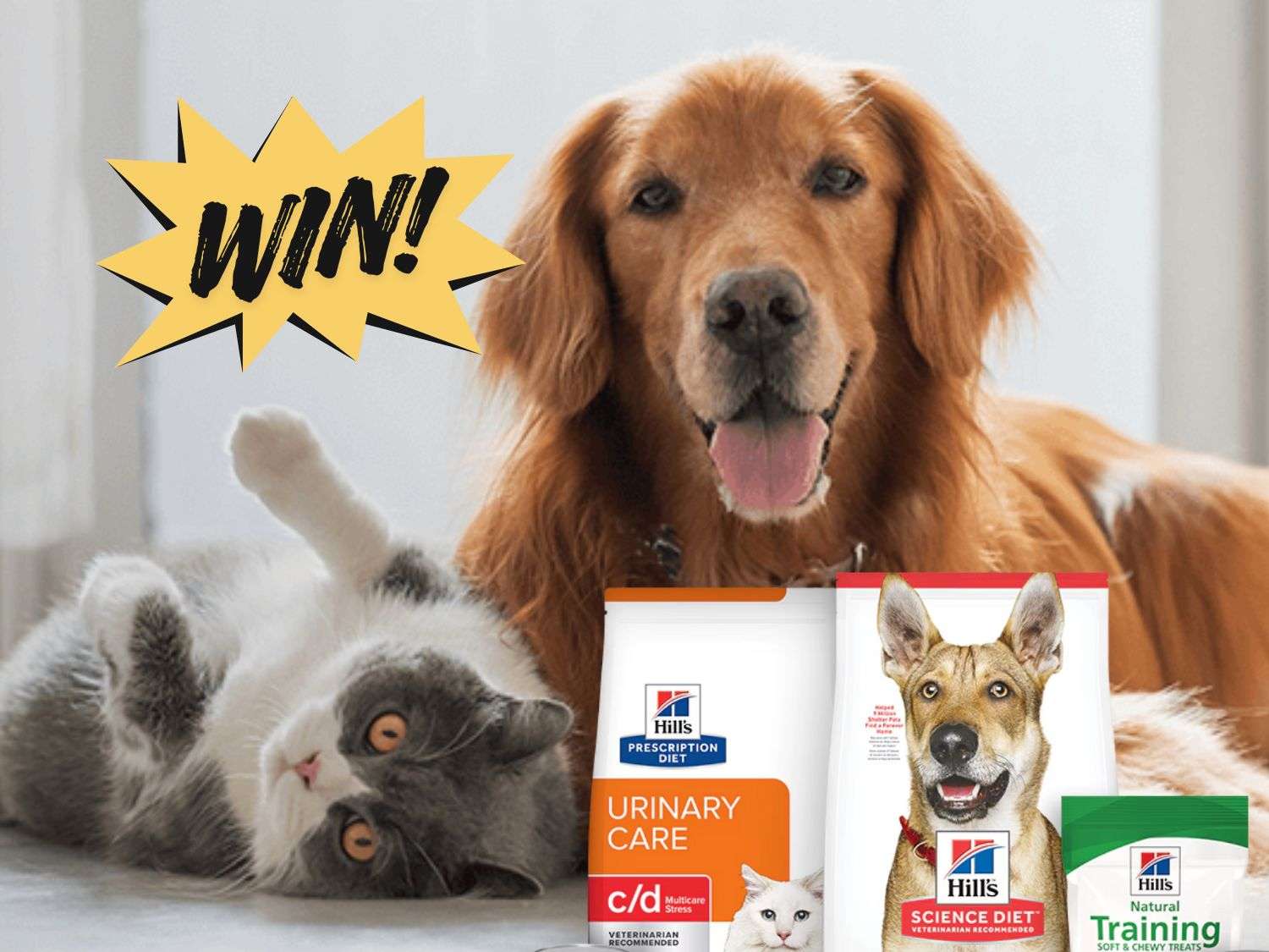 Win FREE Hill’s Pet Food for a Whole Year!