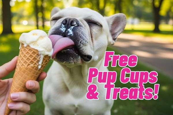 14 Restaurants That Give Free Treats to Your Pet