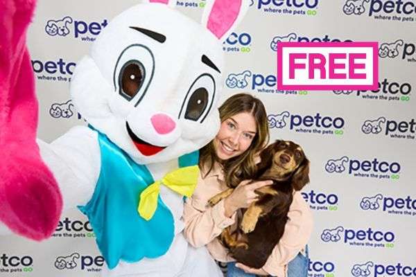 Free Petco Easter Bunny Photos