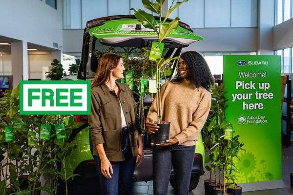 Get a Free Tree from Subaru