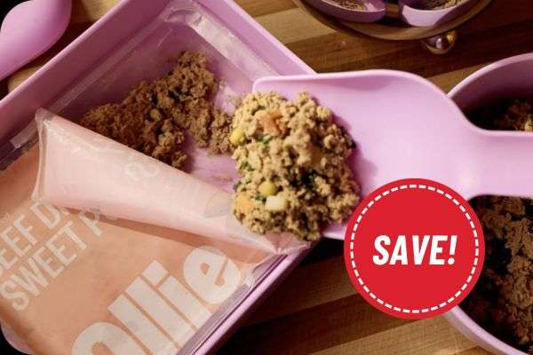 Get 60% OFF Ollie Fresh Dog Food + Extras