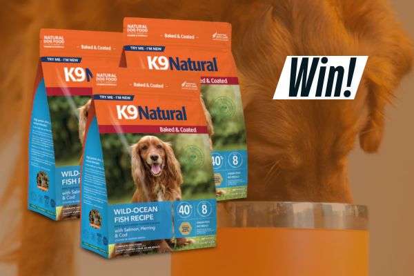 Win a Year’s Supply of K9 Natural Dog Food