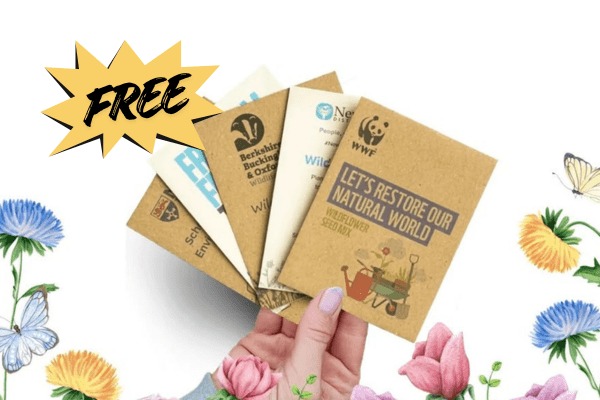 FREE Wildflower Seed Packet