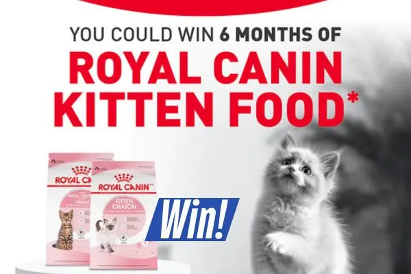 Win 6 Months of Kitten Food from Royal Canin