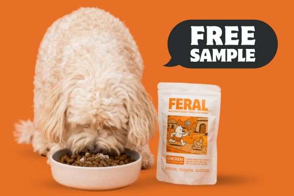 Free FERAL Dog Multivitamin Pack (Worth 30 Days)