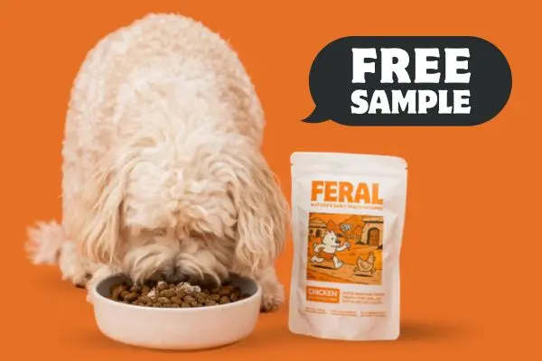 Free FERAL Dog Multivitamin Pack (Worth 30 Days)
