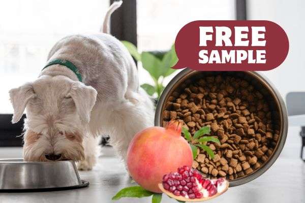 Free Gourmet Pet Chef Organic Dog Food Sample – Treat Your Pup